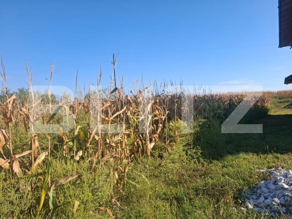 Teren de vânzare Bungetu - 206071TV | BLITZ Târgoviște | Poza3