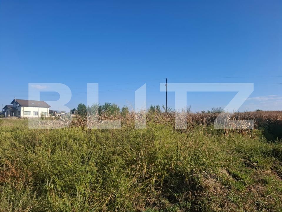 Teren de vânzare Bungetu - 206071TV | BLITZ Târgoviște | Poza4