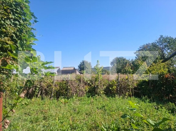 Casa de vânzare 5 camere Bucsani - 206078CV | BLITZ Târgoviște | Poza23