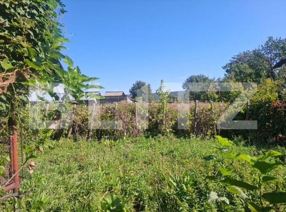 Casa de vânzare 5 camere Bucsani - 206078CV | BLITZ Târgoviște | Poza22