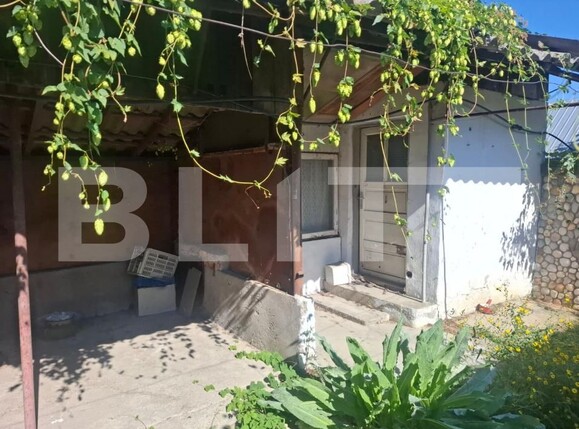 Casa de vânzare 5 camere Bucsani - 206078CV | BLITZ Târgoviște | Poza21