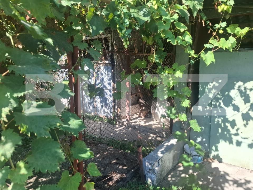 Casa de vânzare 5 camere Bucsani - 206078CV | BLITZ Târgoviște | Poza20