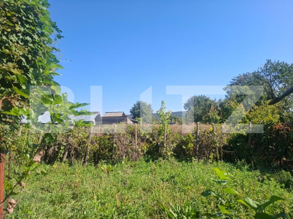 Casa de vânzare 5 camere Bucsani - 206078CV | BLITZ Târgoviște | Poza23