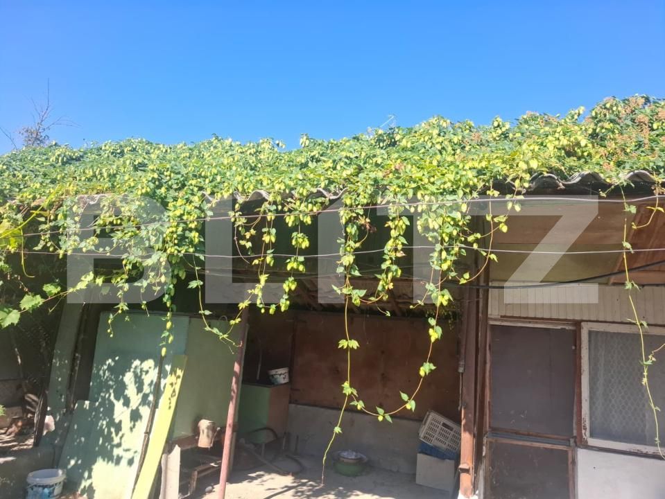 Casa de vânzare 5 camere Bucsani - 206078CV | BLITZ Târgoviște | Poza24