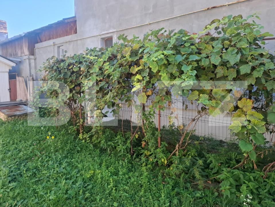 Casa de vânzare 5 camere Bucsani - 206078CV | BLITZ Târgoviște | Poza14