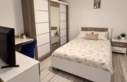 Casa deosebită, 91 mp, teren 1.128 mp, zona Ghirdoveni