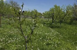 Casa deosebită, 91 mp, teren 1.128 mp, zona Ghirdoveni
