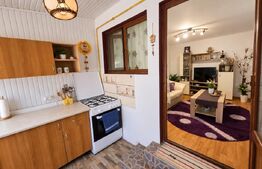 Casa deosebită, 91 mp, teren 1.128 mp, zona Ghirdoveni