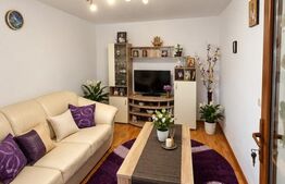 Casa deosebită, 91 mp, teren 1.128 mp, zona Ghirdoveni