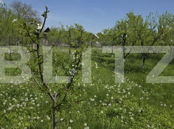 Casa de vânzare 4 camere Ghirdoveni - 206273CV | BLITZ Târgoviște | Poza18