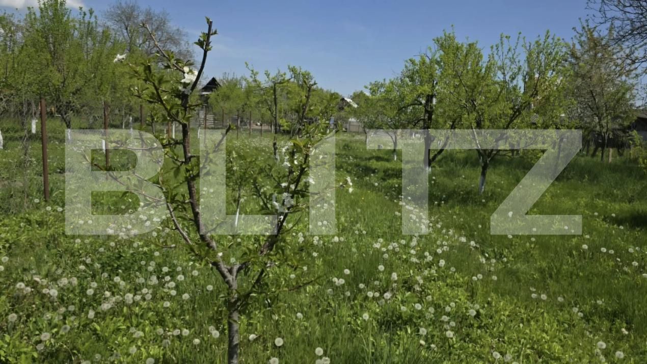 Casa de vânzare 4 camere Ghirdoveni - 206273CV | BLITZ Târgoviște | Poza18