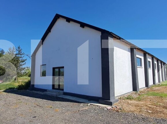 Spațiu industrial de închiriat Sud - 206414SII | BLITZ Târgoviște | Poza2