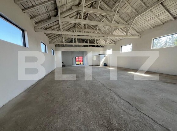 Spațiu industrial de închiriat Sud - 206414SII | BLITZ Târgoviște | Poza7