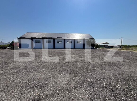 Spațiu industrial de închiriat Sud - 206414SII | BLITZ Târgoviște | Poza1