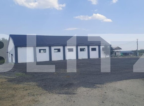Spațiu industrial de închiriat Sud - 206414SII | BLITZ Târgoviște | Poza3