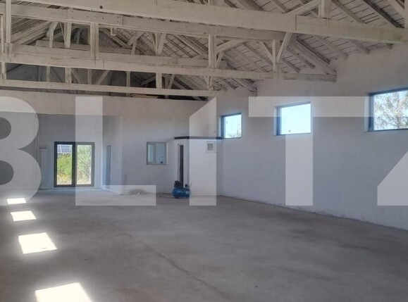 Spațiu industrial de închiriat Sud - 206414SII | BLITZ Târgoviște | Poza8