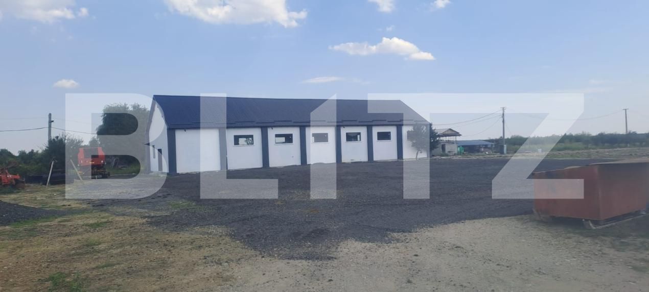 Spațiu industrial de închiriat Sud - 206414SII | BLITZ Târgoviște | Poza3