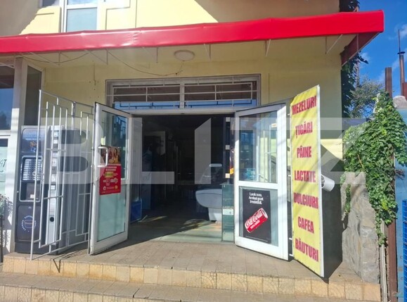 Spațiu comercial de închiriat Industriala - 206442SIC | BLITZ Târgoviște | Poza3