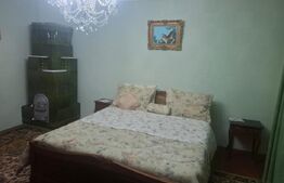 Proprietate deosebită – casă tip conac, 12 camere, 1.000 mp teren, Lungulețu
