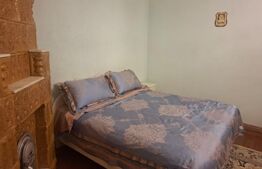 Proprietate deosebită – casă tip conac, 12 camere, 1.000 mp teren, Lungulețu
