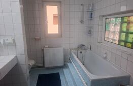 Proprietate deosebită – casă tip conac, 12 camere, 1.000 mp teren, Lungulețu
