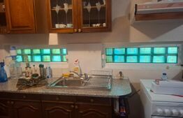 Proprietate deosebită – casă tip conac, 12 camere, 1.000 mp teren, Lungulețu