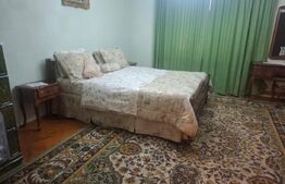 Proprietate deosebită – casă tip conac, 12 camere, 1.000 mp teren, Lungulețu