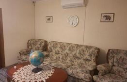 Proprietate deosebită – casă tip conac, 12 camere, 1.000 mp teren, Lungulețu