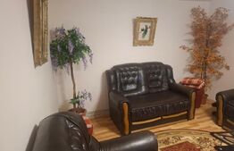 Proprietate deosebită – casă tip conac, 12 camere, 1.000 mp teren, Lungulețu