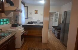 Proprietate deosebită – casă tip conac, 12 camere, 1.000 mp teren, Lungulețu