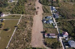 Teren Intravilan 11.477 mp – Viforâta, Dâmbovița