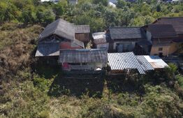Casă P+M cu 1.380 mp teren intravilan, Viforâta – 97 mp utili