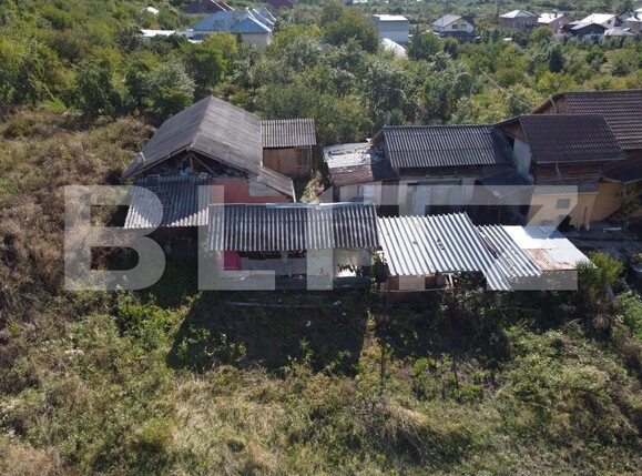 Casa de vânzare 3 camere Viforata - 206833CV | BLITZ Târgoviște | Poza2