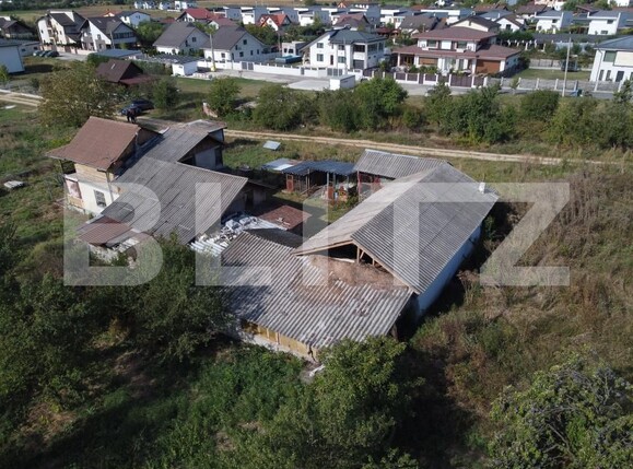 Casa de vânzare 3 camere Viforata - 206833CV | BLITZ Târgoviște | Poza6