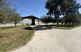 Atelier industrial 1.050 mp, utilat, 4 căi de acces – SAGRICOM