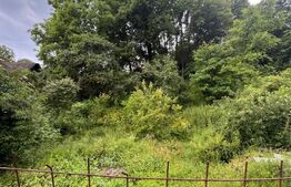CASĂ CU DOUĂ LOCUINȚE ȘI TEREN DE 897 MP – RUNCU, DÂMBOVIȚA