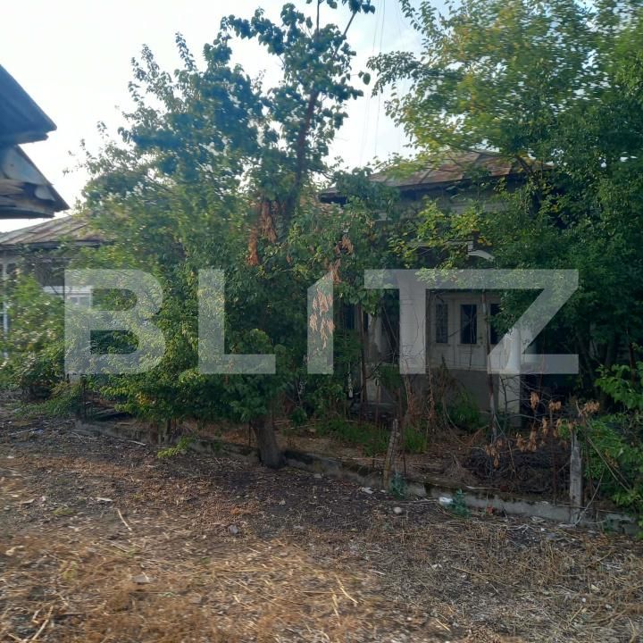 Casa de vânzare 3 camere Exterior Sud - 206944CV | BLITZ Târgoviște | Poza10
