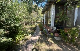 Casa, 199 mp utili, 10.200 mp teren, Pucioasa 