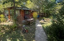 Casa, 199 mp utili, 10.200 mp teren, Pucioasa 