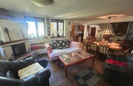 Casa, 199 mp utili, 10.200 mp teren, Pucioasa 