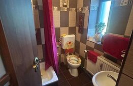 Casa, 199 mp utili, 10.200 mp teren, Pucioasa 