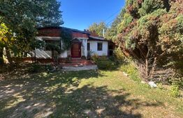 Casa, 199 mp utili, 10.200 mp teren, Pucioasa 