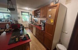 Casa, 199 mp utili, 10.200 mp teren, Pucioasa 
