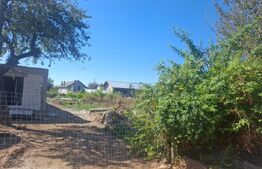 Teren Intravilan, 580 mp, zona Central - Viisoara