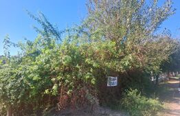Teren Intravilan, 580 mp, zona Central - Viisoara