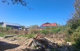 Teren Intravilan, 580 mp, zona Central - Viisoara