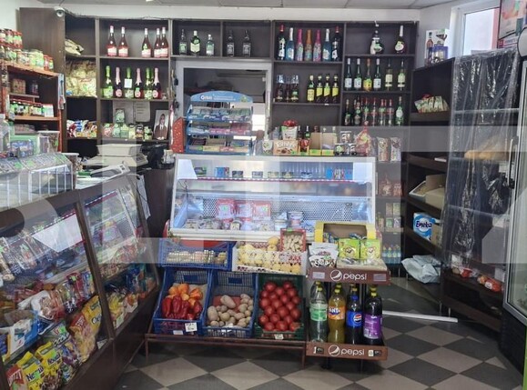 Spațiu comercial de închiriat Ulmi - 207411SIC | BLITZ Târgoviște | Poza9