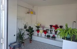 Spatiu comercial de inchiriat, 11 mp, zona Sud-Vest