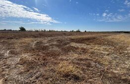 Teren extravilan, 3600 mp, zona Racovita - Targoviste