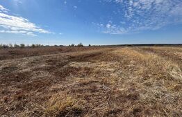 Teren extravilan, 3600 mp, zona Racovita - Targoviste